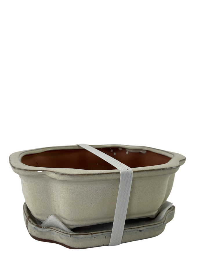 bonsai Ceramic Pot with Humidity Tray - Cream Lotus
