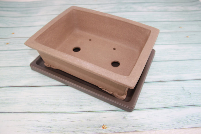 Bonsai Humidity Tray