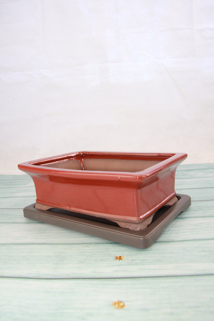 Bonsai Humidity Tray
