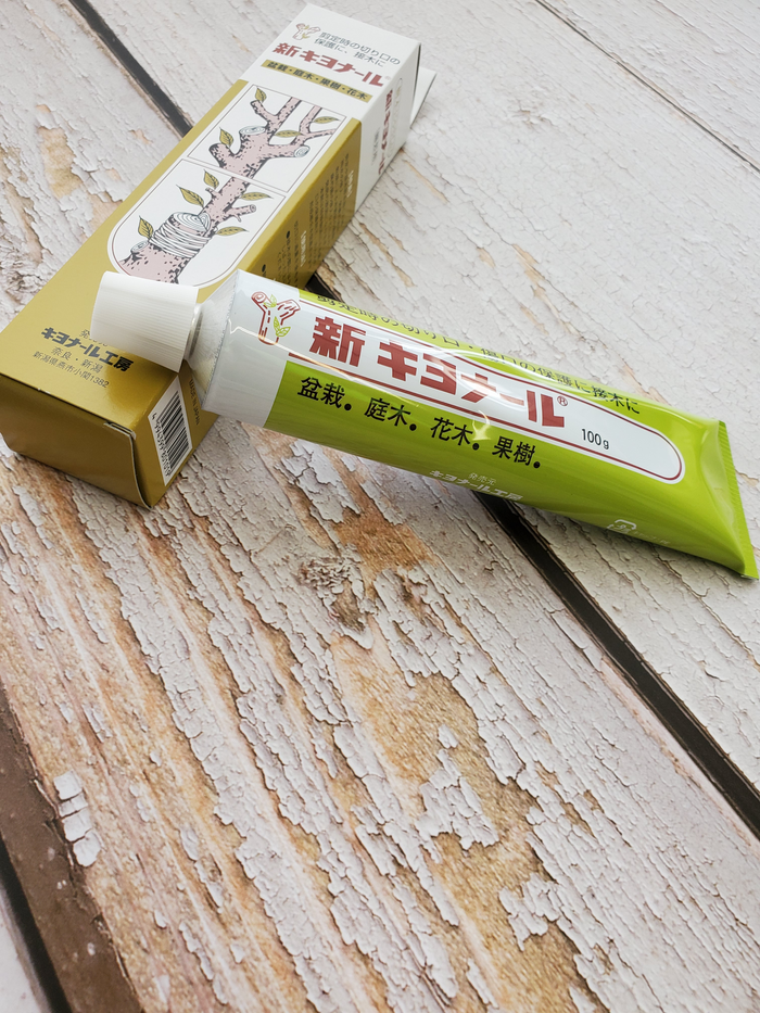 Bonsai Japanese Cut Paste