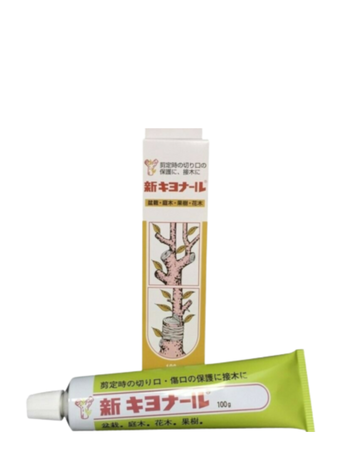 bonsai Japanese Cut Paste