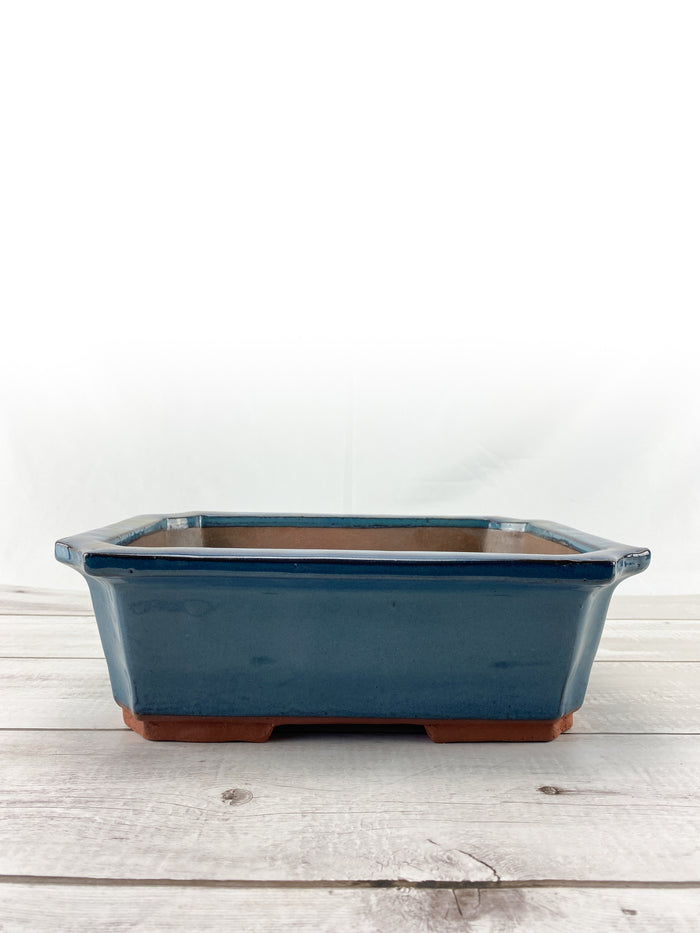 Bonsai Premium Lotus Ceramic Pot (Blue Glazed)