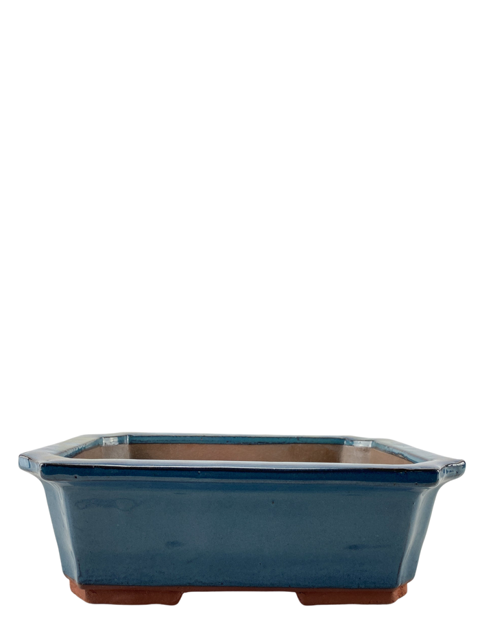 bonsai Premium Lotus Ceramic Pot (Blue Glazed)
