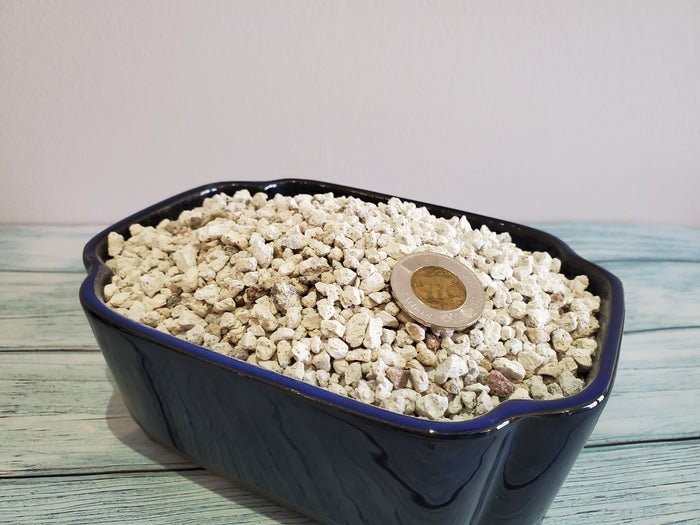 Bonsai Pumice