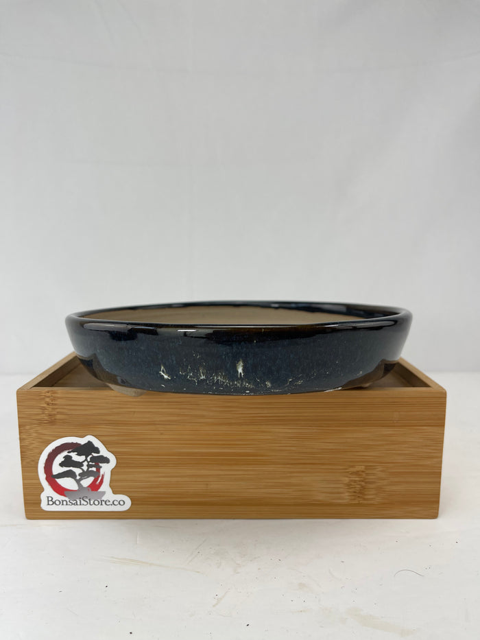 Bonsai Sophie Wang - Blue Round 2