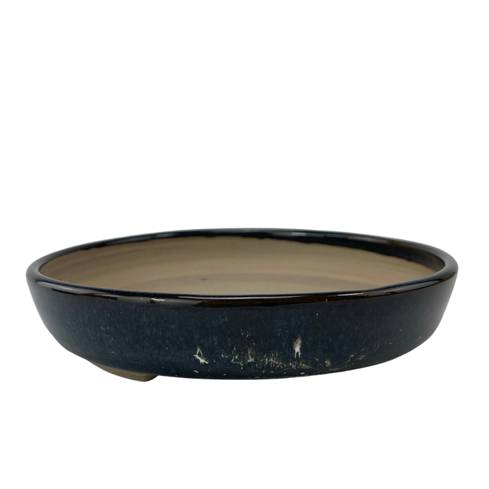 bonsai Sophie Wang - Blue Round 2