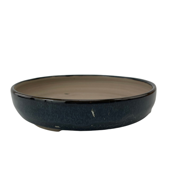 bonsai Sophie Wang - Blue Round 3