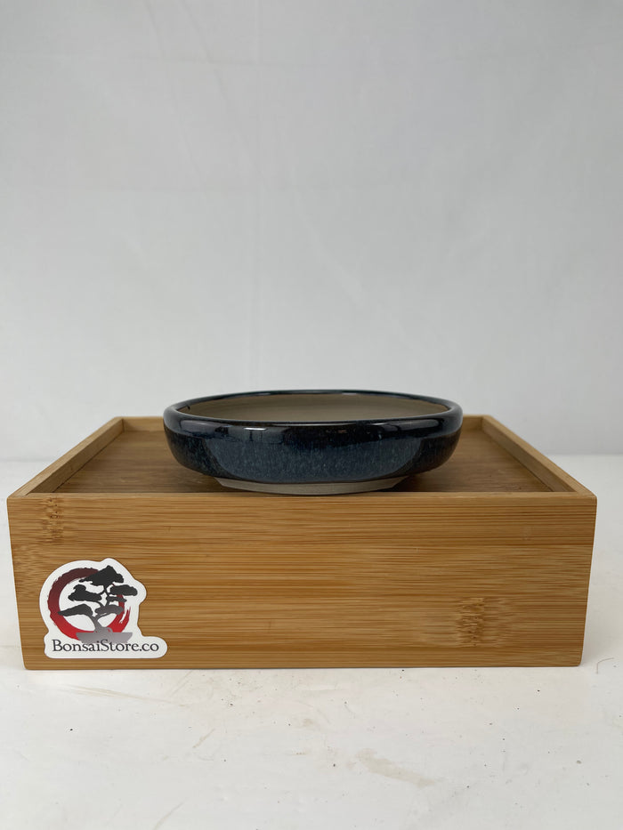Bonsai Sophie Wang - Blue Round 4