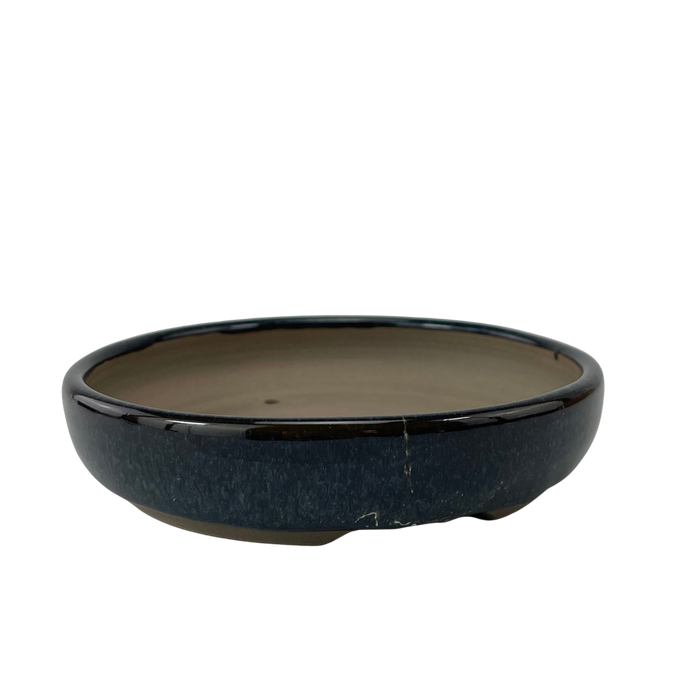 bonsai Sophie Wang - Blue Round 4