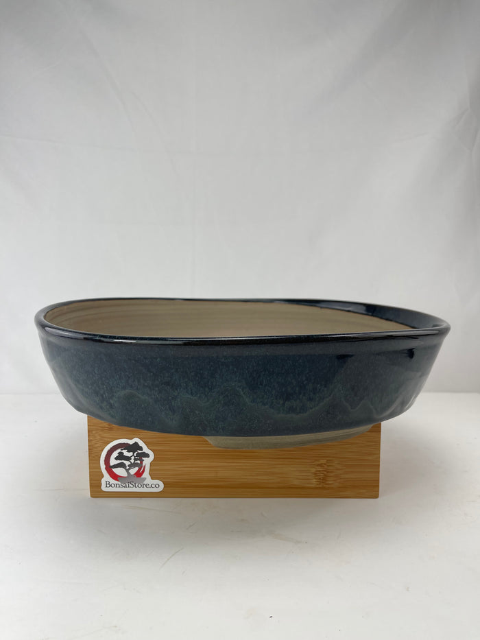 Bonsai Sophie Wang - Dark Blue Round