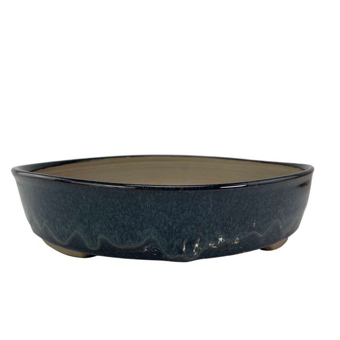 bonsai Sophie Wang - Dark Blue Round