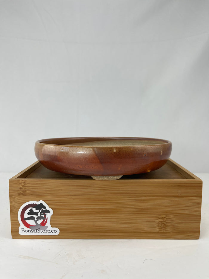 Bonsai Sophie Wang - High Fired Orange Round 2