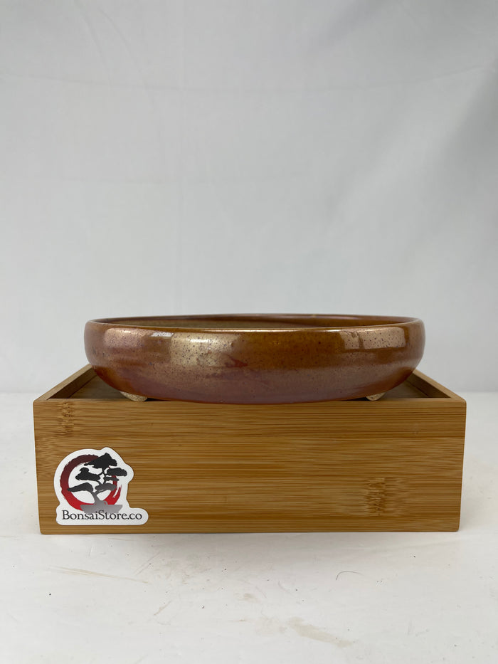 Bonsai Sophie Wang - High Fired Orange Round 2