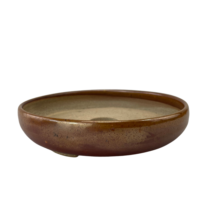 bonsai Sophie Wang - High Fired Orange Round 2