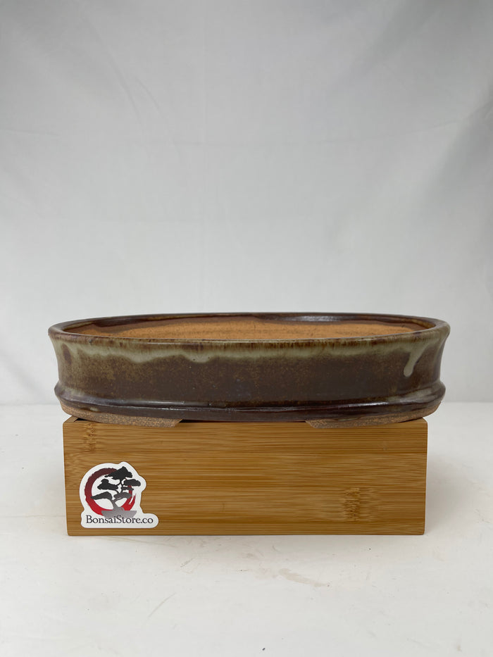 Bonsai Sophie Wang - High Fired Oval