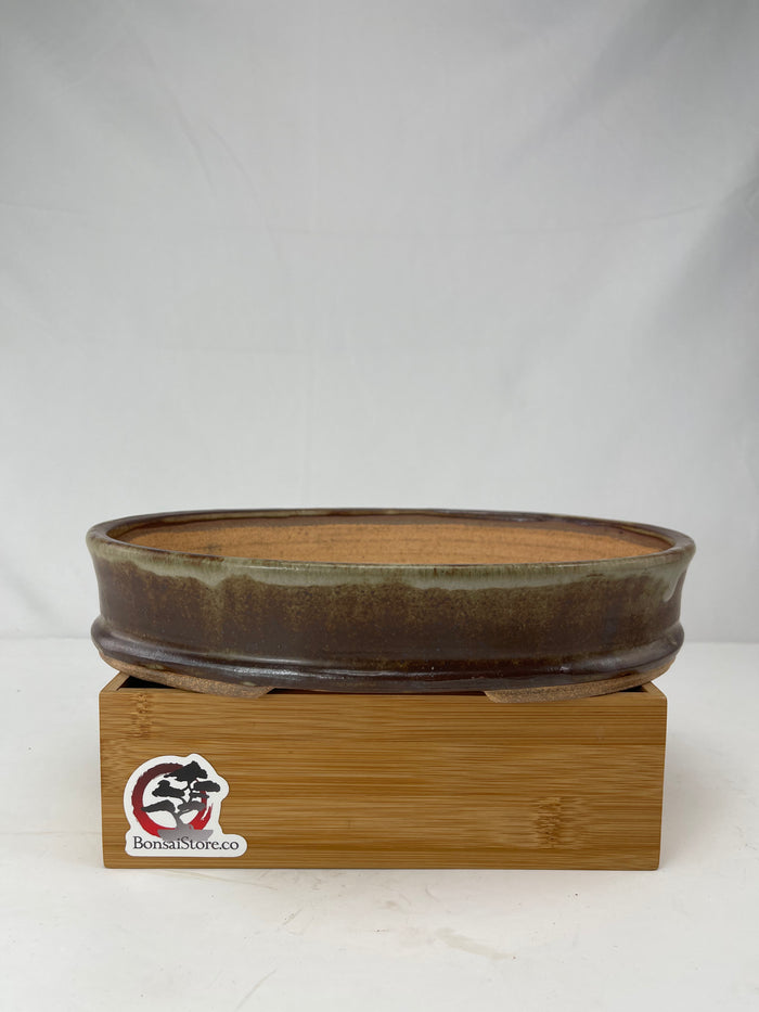 Bonsai Sophie Wang - High Fired Oval