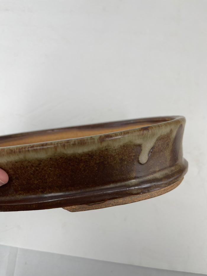 Bonsai Sophie Wang - High Fired Oval