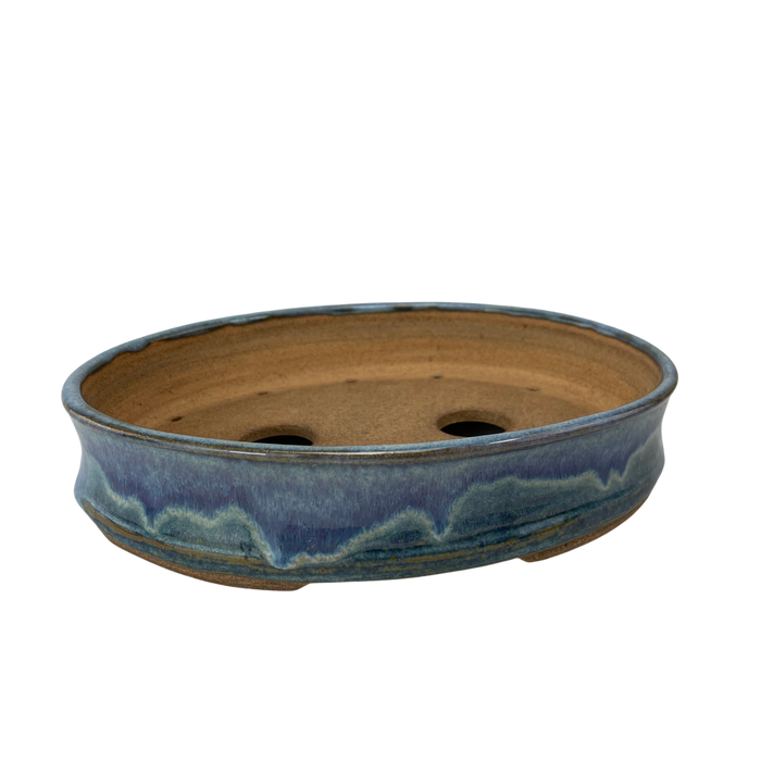 bonsai Sophie Wang - High Fired Purple Oval 1
