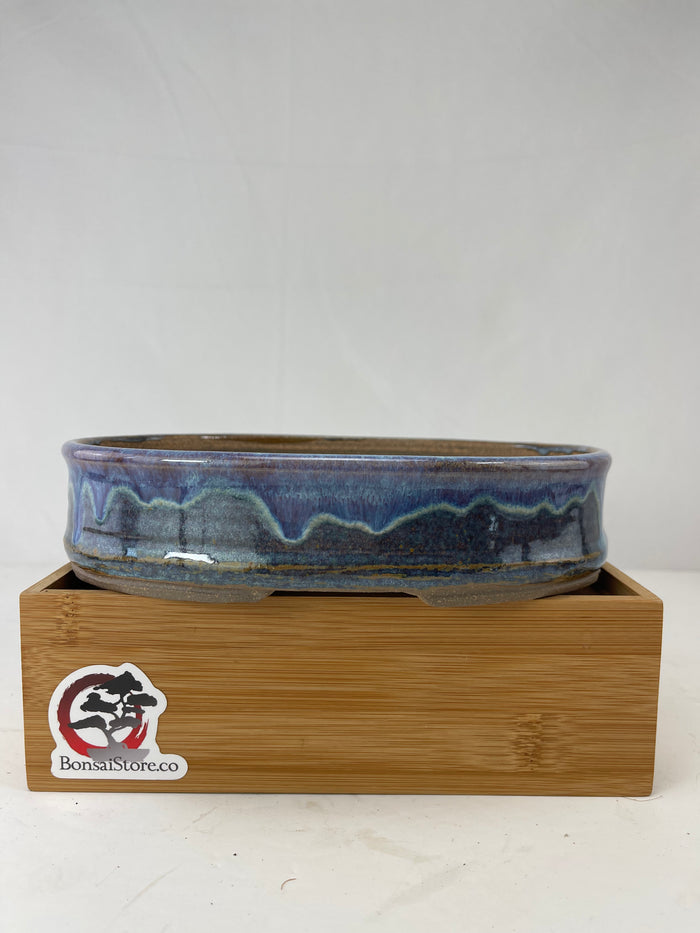 bonsai Sophie Wang - High Fired Purple Round 2