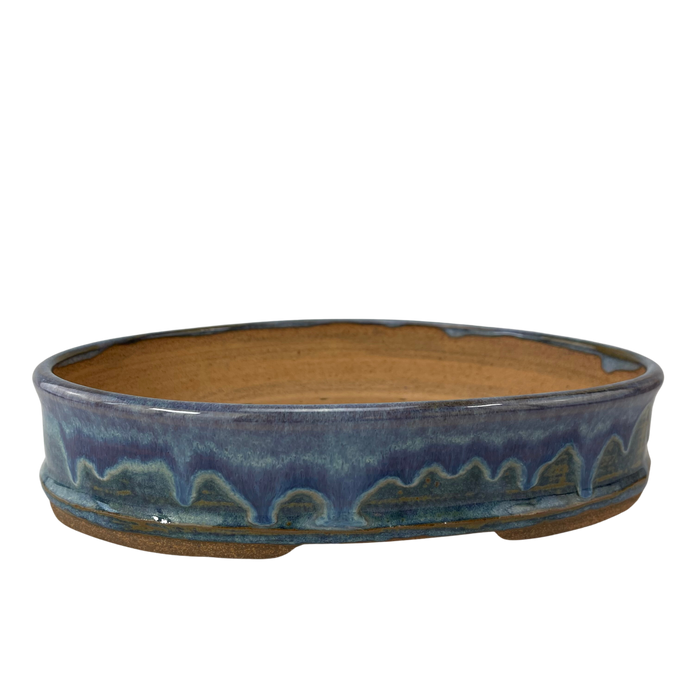 bonsai Sophie Wang - High Fired Purple Round 3