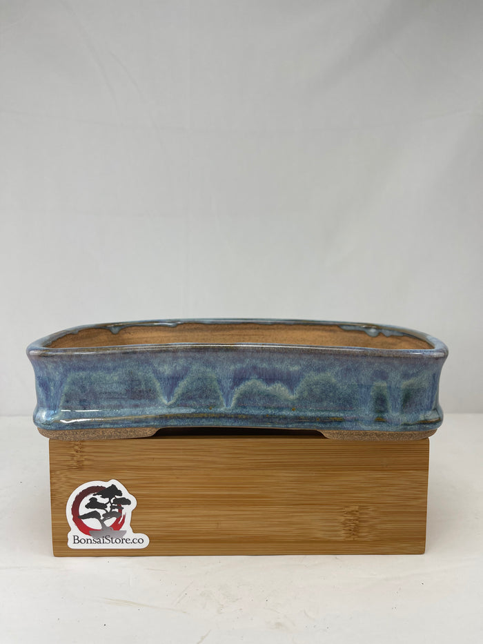 Bonsai Sophie Wang - High Fired Rectangular
