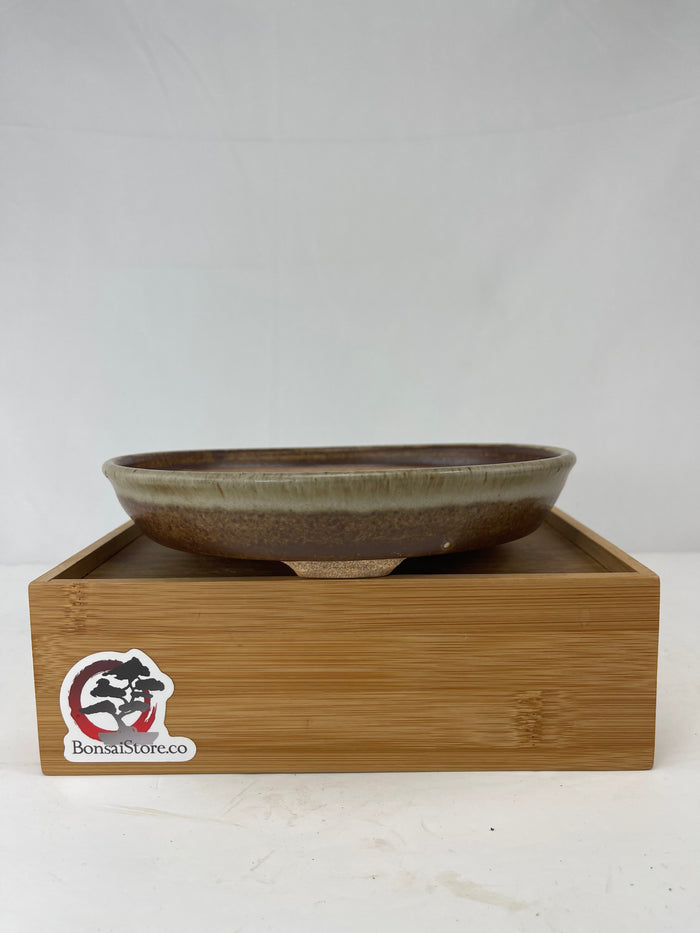 Bonsai Sophie Wang - High Fired Round