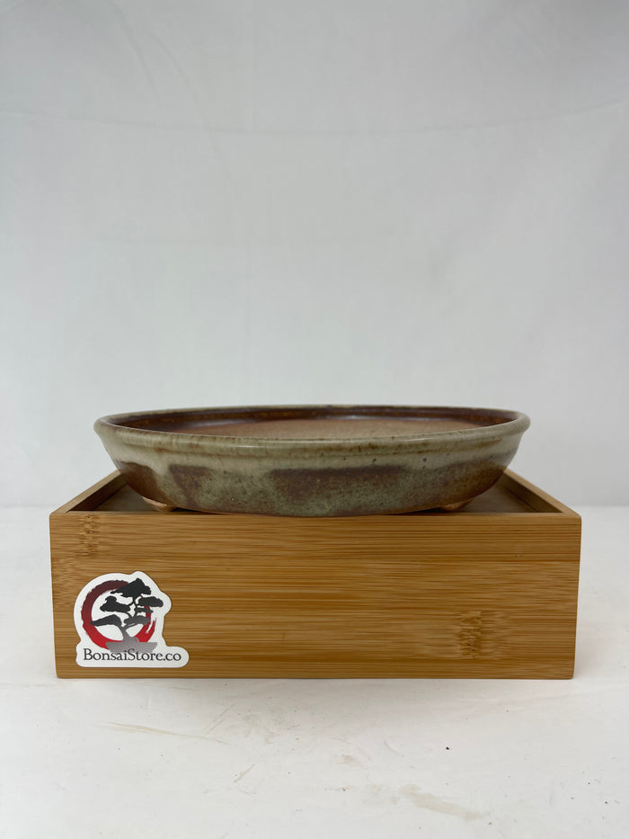 Bonsai Sophie Wang - High Fired Round