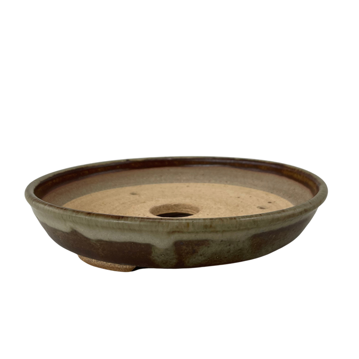 bonsai Sophie Wang - High Fired Round