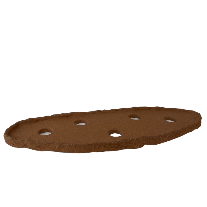 bonsai Sophie Wang - High Fired Unglazed Slab