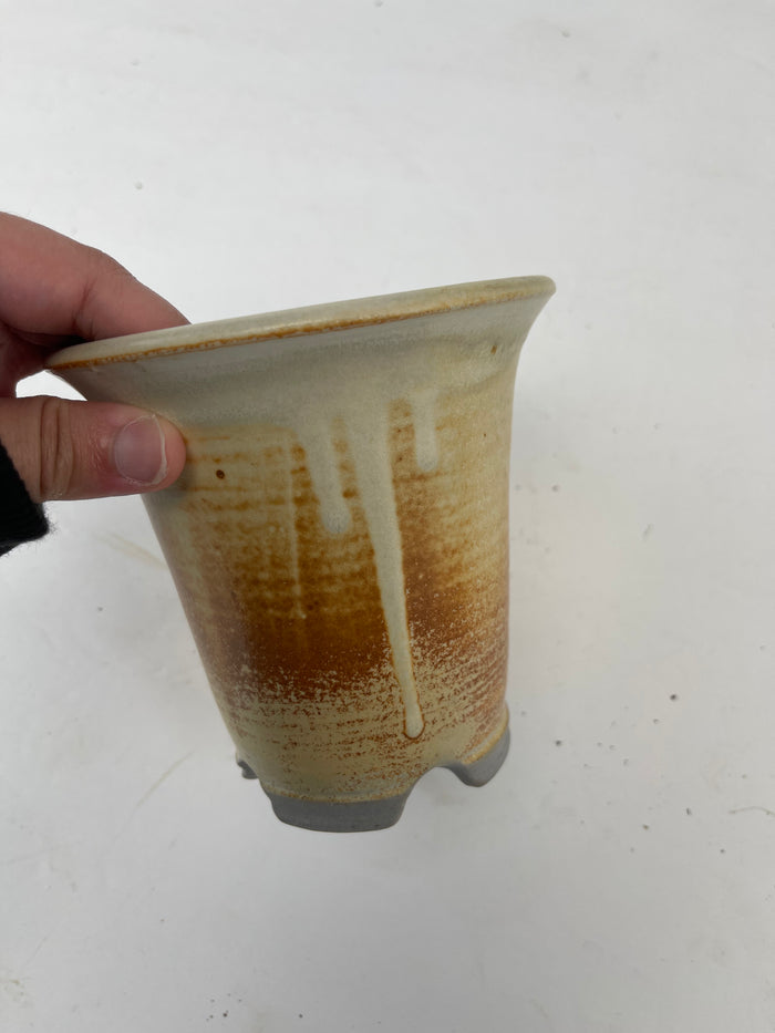 Bonsai Sophie Wang - High Fired Yellow Cascade