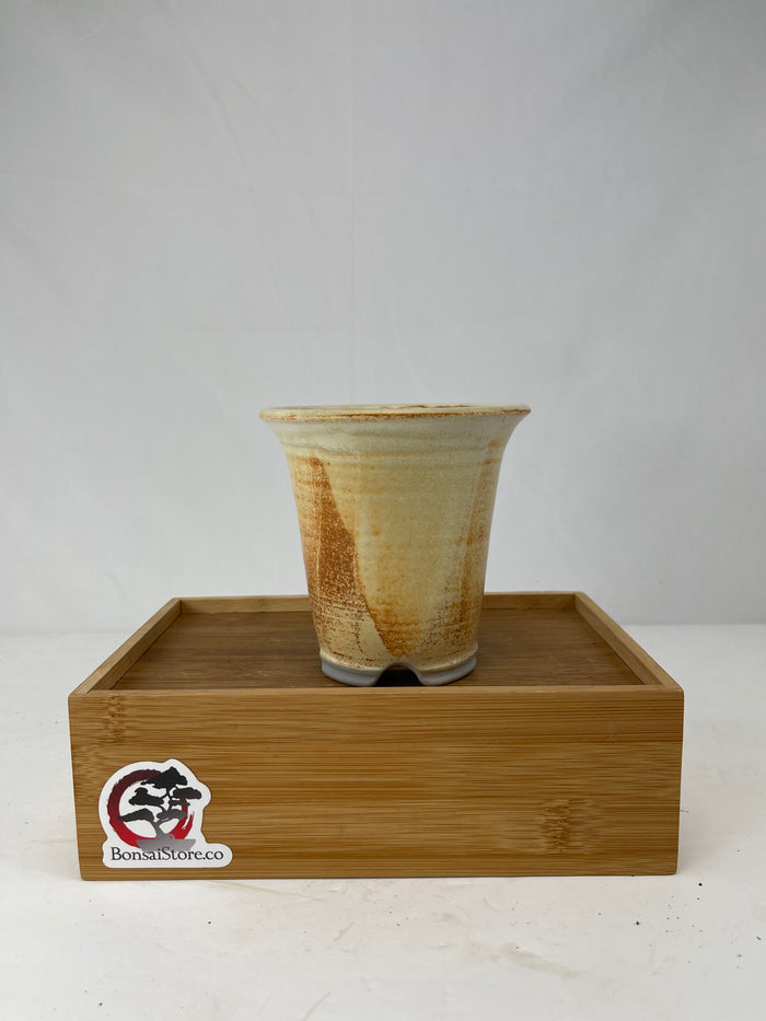 Bonsai Sophie Wang - High Fired Yellow Cascade