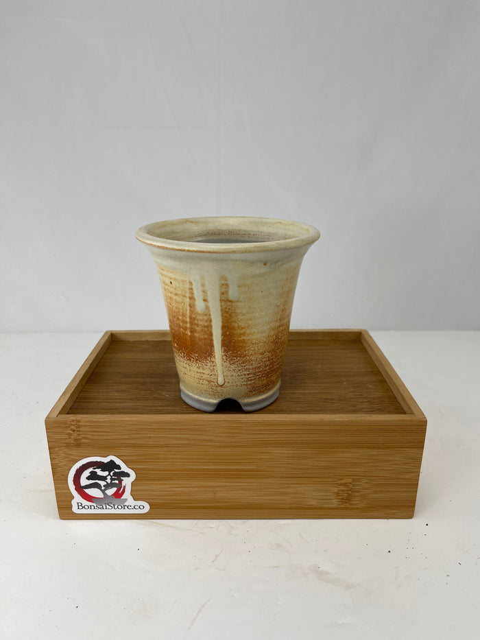 Bonsai Sophie Wang - High Fired Yellow Cascade