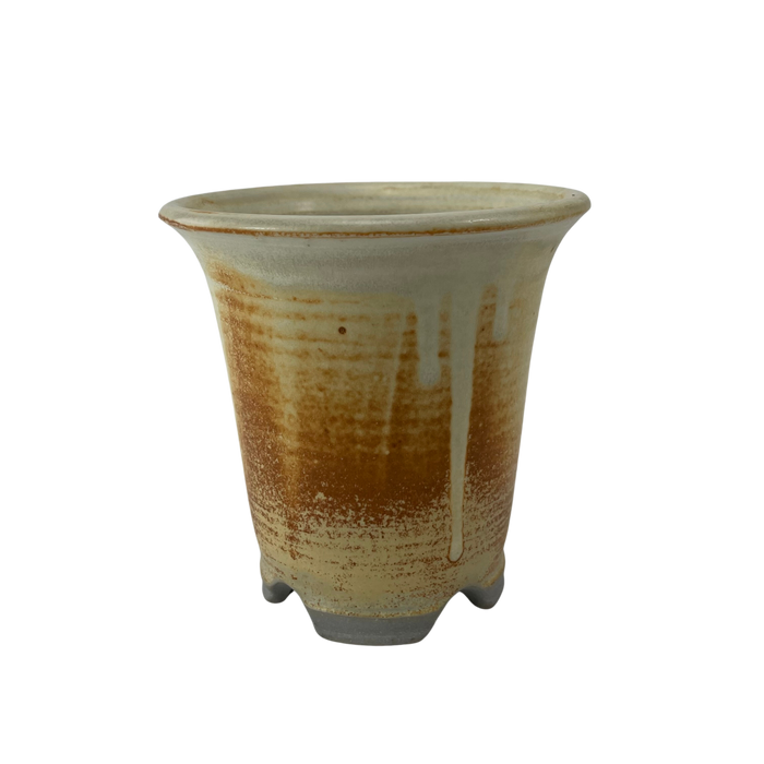 bonsai Sophie Wang - High Fired Yellow Cascade