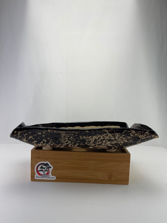 Bonsai Sophie Wang - Irregular Black Bonsai Pot