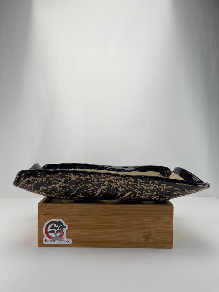 Bonsai Sophie Wang - Irregular Black Bonsai Pot