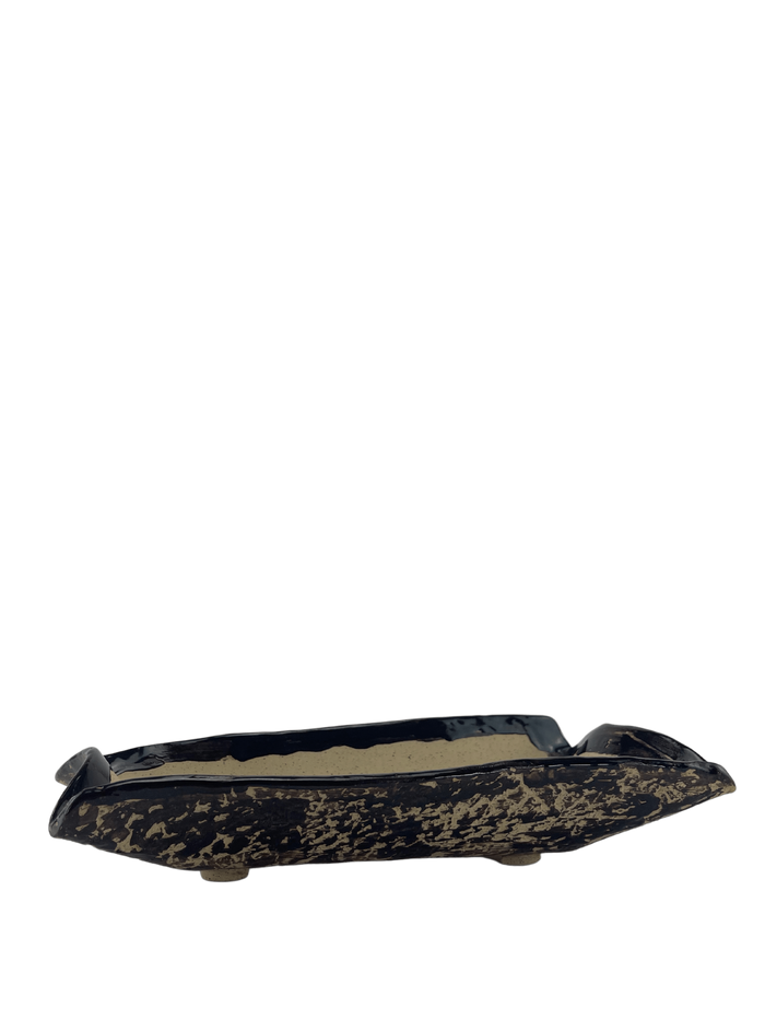 bonsai Sophie Wang - Irregular Black Bonsai Pot