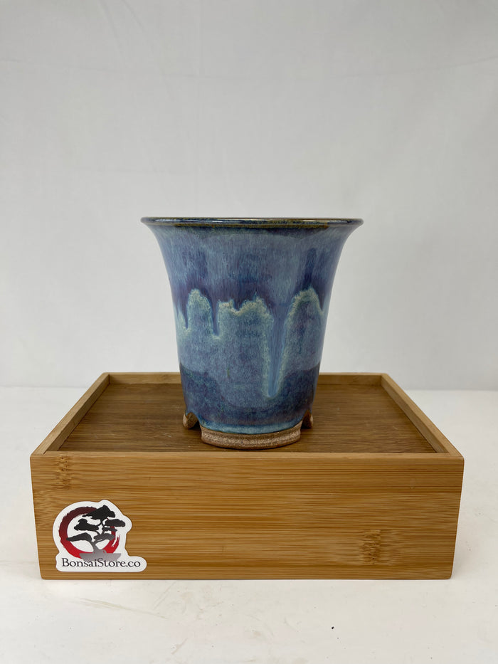 Bonsai Sophie Wang - Round Purple Cascade