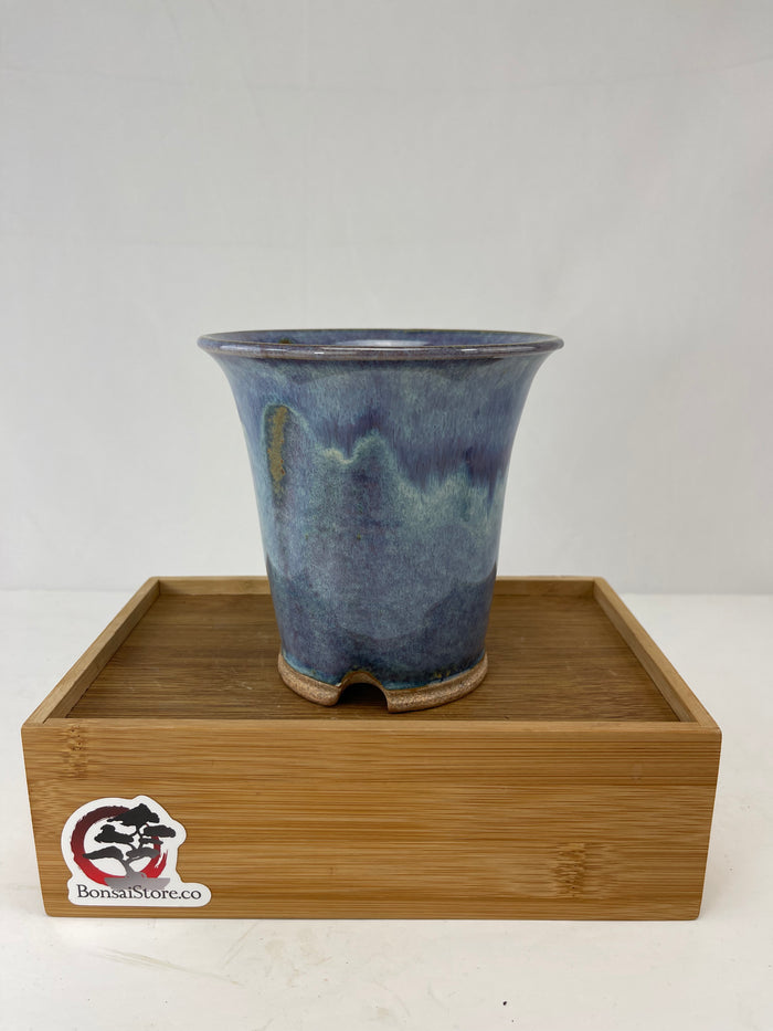 Bonsai Sophie Wang - Round Purple Cascade