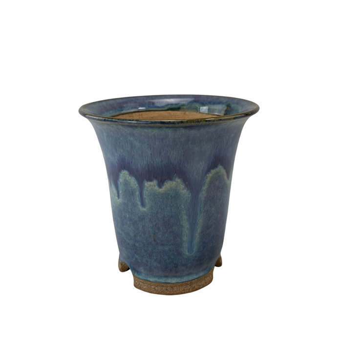 bonsai Sophie Wang - Round Purple Cascade