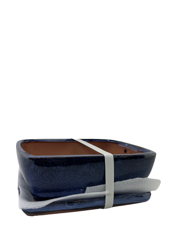 bonsai Ceramic Pot with Humidity Tray - Blue Rectangle