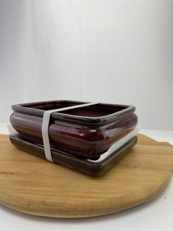 Bonsai Ceramic Pot With Humidity Tray - Medium Flat Red Rectangle
