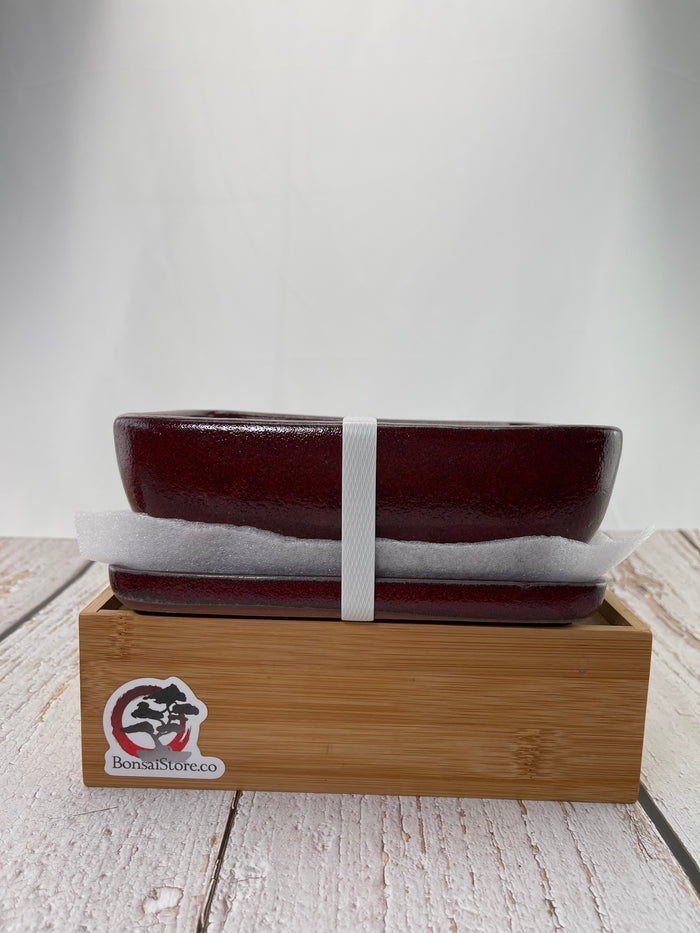 Bonsai Ceramic Pot With Humidity Tray - Red Rectangle