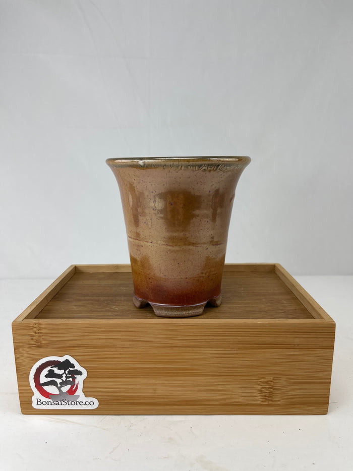 Bonsai Sophie Wang - High Fired Orange Golden Cascade