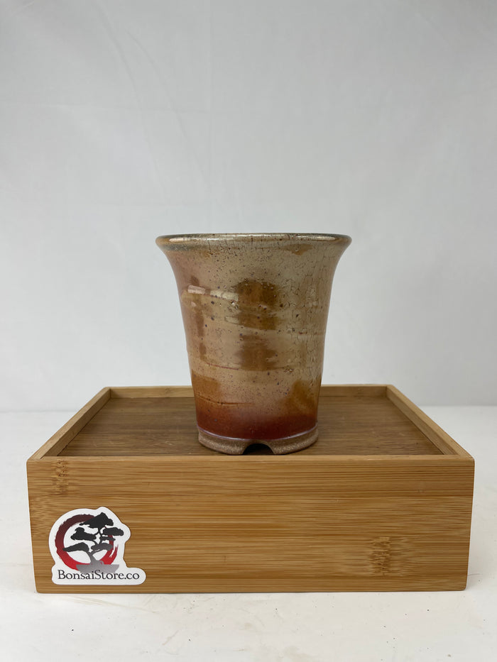 Bonsai Sophie Wang - High Fired Orange Golden Cascade
