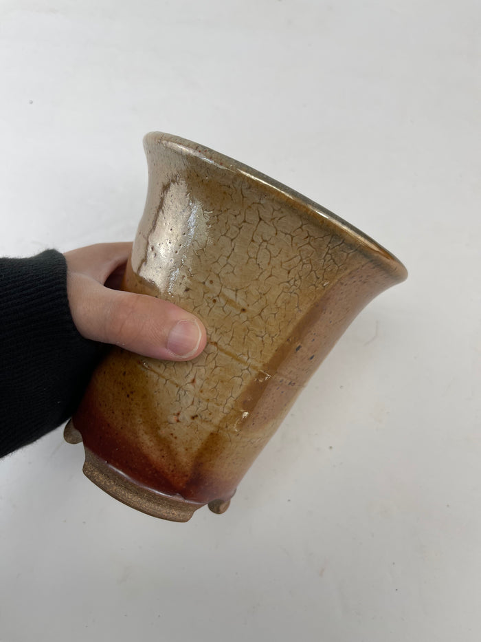 Bonsai Sophie Wang - High Fired Orange Golden Cascade