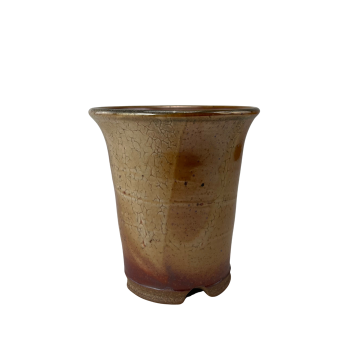 bonsai Sophie Wang - High Fired Orange Golden Cascade