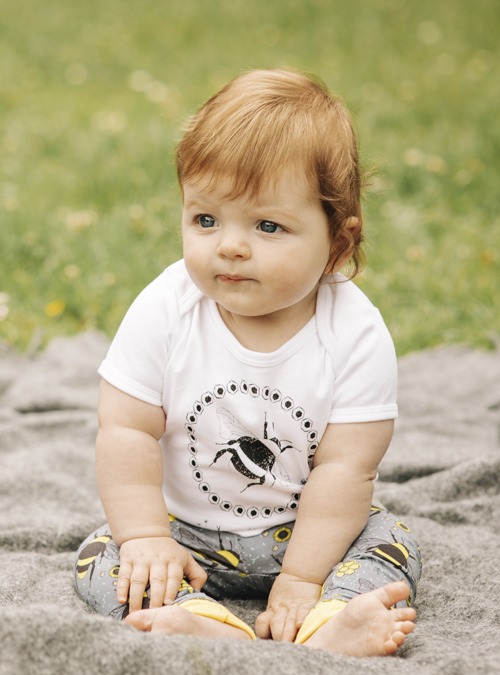 Boodle Bee Baby Outfit. Organic Bee Leggings And Baby T-shirt Set