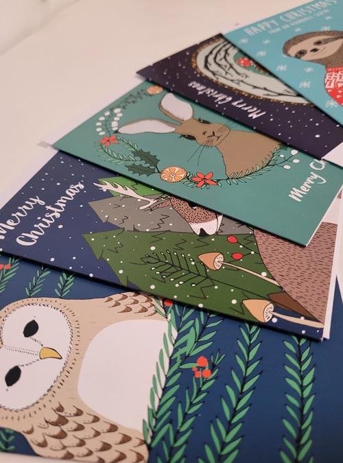 boodle Christmas card pack x5