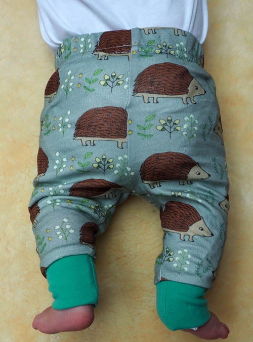 Boodle Hedgehog Baby Leggings