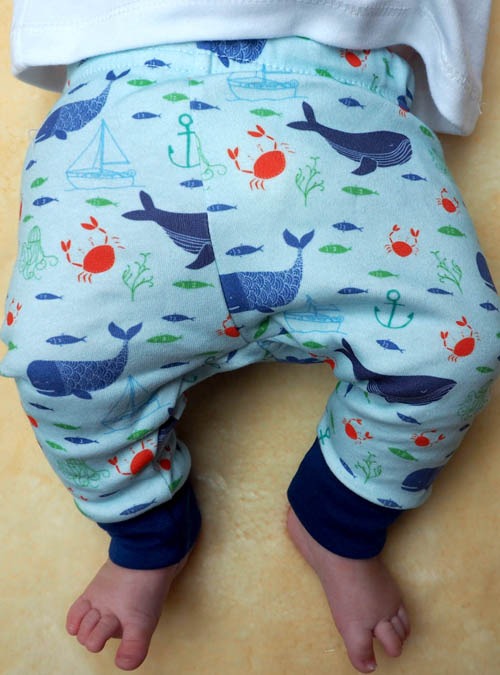 Boodle Whale Baby Outfit. Nautical Organic Leggings And T-shirt Set